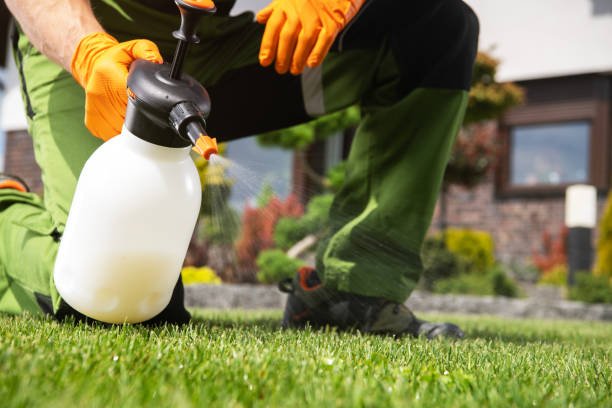 Best Residential Pest Control  in Rockford, MI