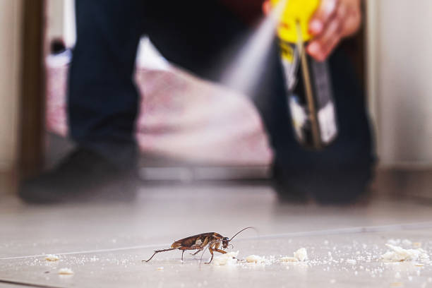 Trusted Rockford, MI Pest Control Experts