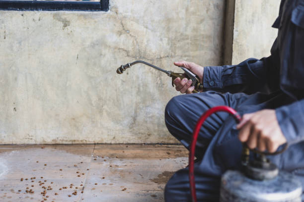 Best Residential Pest Control  in Rockford, MI